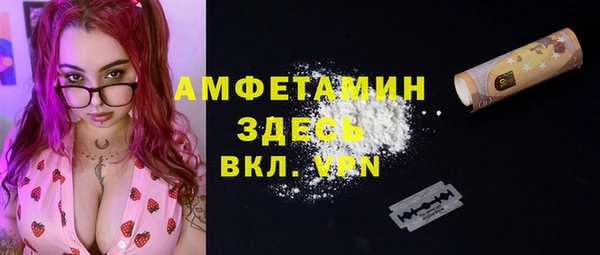 не бодяженный Бородино