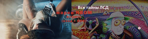 не бодяженный Бородино