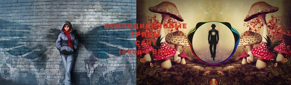 кокс Бронницы