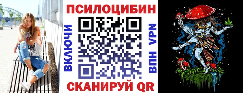купить наркотик  Чебоксары  Псилоцибиновые грибы ЛСД 